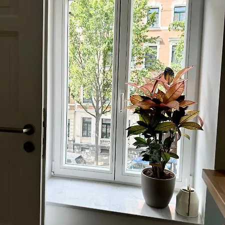 Apartment Wohlfuehloase Im Hippen Leipziger Osten